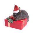 Cute rabbit wearing red santa claus hat with gift boxes on white