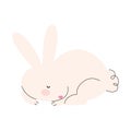 cute rabbit white lying