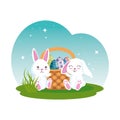 Cute rabbits couple with easter egg painted in basket Royalty Free Stock Photo