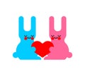 Cute rabbits and love. Hares and heart Royalty Free Stock Photo