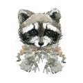 Cute raccon watercolor illustration JPEG, PNG. wild baby animals series Royalty Free Stock Photo