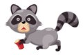 Cute raccoon