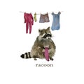 Cute raccoon animal washing cloths. Watercolor.