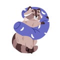 Cute raccoon asleep, sleeping on pillow. Funny forest animal character dreaming, napping, drowsing, relaxing, lying on