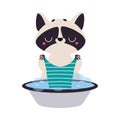 Cute Raccoon Character with Ringed Tail Rinsing Clothes in Wash Basin Vector Illustration