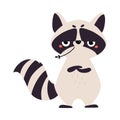 Cute Raccoon Character with Ringed Tail Standing and Chewing Grass Blade Vector Illustration