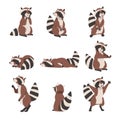 Cute Raccoon Collection, Adorable Wild Forest Animal Cartoon Character in Various Poses Vector Illustration