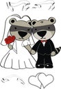 Cute raccoon couple cartoon happy married set