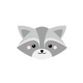 Cute flat raccoon