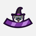 Cute Raccoon Head Character. For Logo, Icon, badge, emblem and label with Witch Hat. Royalty Free Stock Photo