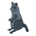 Cute raccoon icon, isometric style