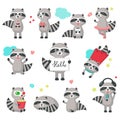 Cute raccoon icon set vector isolated illustration