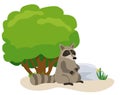 Cute raccoon next to the tree. North American raccoon, native mammal. flat vector illustration. Isolated on white Royalty Free Stock Photo