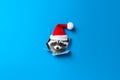 Cute raccoon in a santa hat peeks through a broken hole in in blue paper background. Generative AI