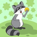 Cute raccoon sits on a green meadow and eats.