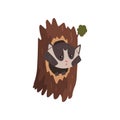 Cute raccoon sitting in hollow of tree, hollowed out old tree and cute animal cartoon character inside vector Royalty Free Stock Photo