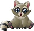 Cute raccoon sitting