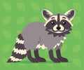 Cute raccoon standing. Vector illustration of a happy coon with striped tail on green background. Emoji. Element for