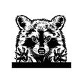 Cute raccoon vector requests cuddle and snuggle Hand drawn in a graphic style. Vintage vector engraving illustration for