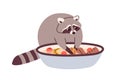 Cute raccoon washing food in basin. Funny racoon cleaning fruits in water bowl. Amusing lovely neat wild animal with