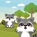 Cute raccoon wild animal character icon