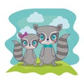 cute raccoons couple characters vector illustration Royalty Free Stock Photo