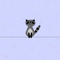 Cute Racoon, Animal Background with stars for Kids