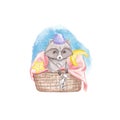 Cute racoon in a basket with a watercolor toy on a white background. Baby watercolor illustration. Children\'s print