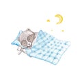 Cute racoon is sleeping in a blanket with a watercolor toy on a white background. Baby watercolor illustration.