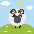 Cute Ram Black Head Sheep With Flower On A Hill