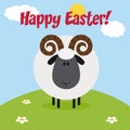 Cute Ram Black Head Sheep With Flower On A Hill