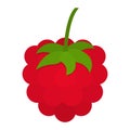 Sweet Raspberry Icon clip art vector illustration in cartoon animation fruit and vegetable