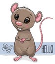 Cute Rat isolated on a white background Royalty Free Stock Photo