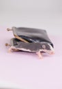 Cute rat with a purse on a white background. Financing. Tailed Royalty Free Stock Photo