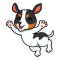 Cute rat terrier dog cartoon posing Royalty Free Stock Photo