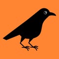 Cute raven bird. Cartoon crow. Kawaii vector illustration on orange background. Halloween party