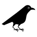 Cute raven bird. Cartoon crow. Kawaii vector illustration on white background. Royalty Free Stock Photo