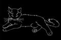Cute realistic cat laying. Vector illustration of kitty isolated on black background. Element for your design, print Royalty Free Stock Photo