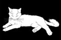 Cute realistic cat laying. Vector illustration of white kitty isolated on black background. Element for your design Royalty Free Stock Photo