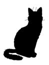 Cute realistic cat sitting. Vector illustration of silhouette of kitty. Black figure on white background. Element for Royalty Free Stock Photo