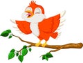 Cute red bird singing Royalty Free Stock Photo