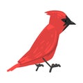 Cute Red Cardinal Winter Bird, Beautiful Northern Birdie Vector Illustration Royalty Free Stock Photo