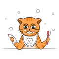 Cute red cat brushing teeth cartoon for ad banner Royalty Free Stock Photo