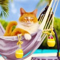 A Cute Red Cat on a Lies on a Fabric Hammock on a Tropical Background. AI