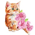 Cute red cat with pink apple flowers, sakura. Watercolor painting illustration, Spring Animal for design, poster, cards