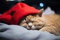 A cute red cat in a Santa hat sleeps on the bed. Christmas card, calendar, pet Royalty Free Stock Photo