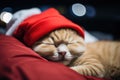 A cute red cat in a Santa hat sleeps on the bed. Christmas card, calendar, pet Royalty Free Stock Photo