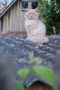 Cute red cat on tiled roof of old house Royalty Free Stock Photo