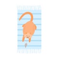 Cute red fat cat playing with a mouse. The house cat is lying on the carpet holding the mouse`s tail with its paw. Vector Royalty Free Stock Photo