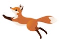 Cute red fox jumping. Cartoon animal character design. Forest animal. Flat vector illustration isolated on white background Royalty Free Stock Photo